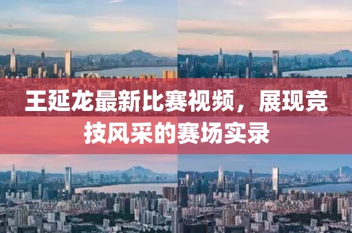 王延龙最新比赛视频，展现竞技风采的赛场实录