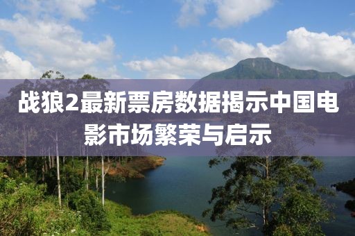战狼2最新票房数据揭示中国电影市场繁荣与启示