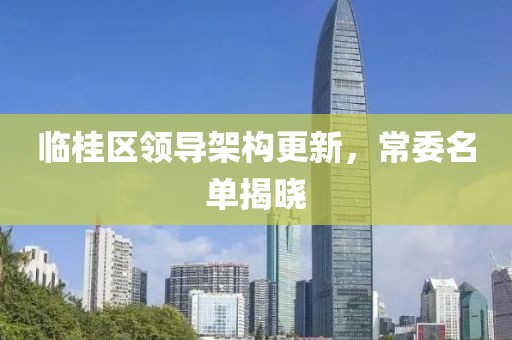 临桂区领导架构更新，常委名单揭晓