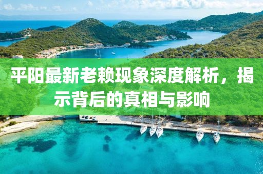 平阳最新老赖现象深度解析，揭示背后的真相与影响