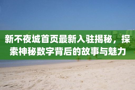 新不夜城首页最新入驻揭秘，探索神秘数字背后的故事与魅力