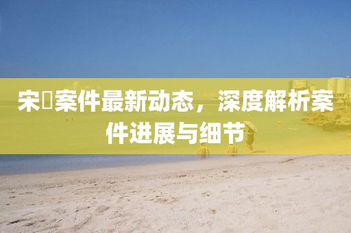 宋喆案件最新动态，深度解析案件进展与细节