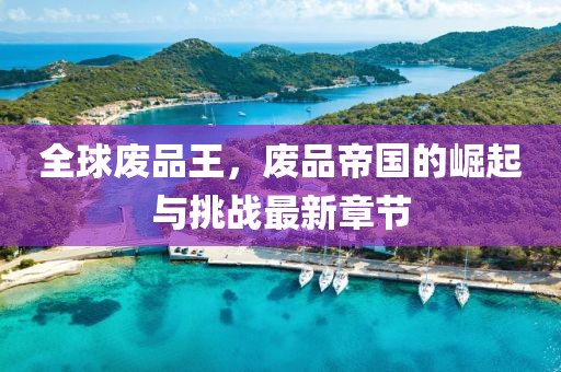全球废品王，废品帝国的崛起与挑战最新章节