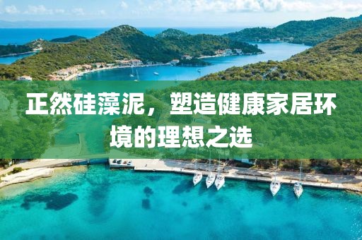 正然硅藻泥，塑造健康家居环境的理想之选