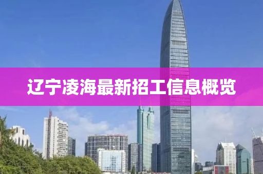 辽宁凌海最新招工信息概览