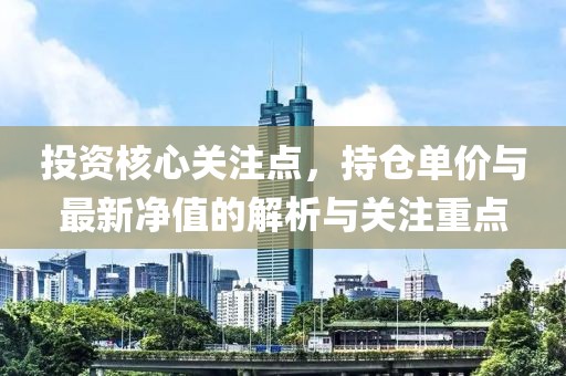 投资核心关注点，持仓单价与最新净值的解析与关注重点