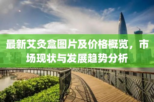 最新艾灸盒图片及价格概览，市场现状与发展趋势分析