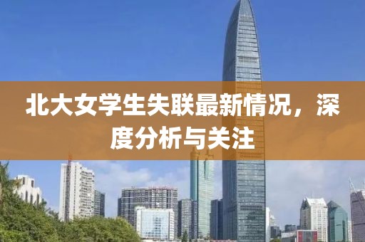 北大女学生失联最新情况，深度分析与关注