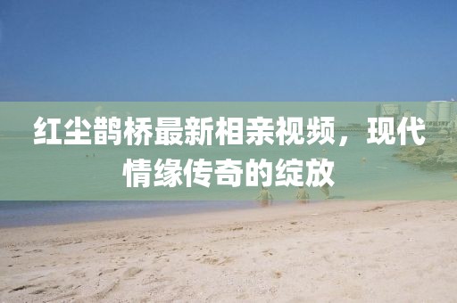 红尘鹊桥最新相亲视频，现代情缘传奇的绽放