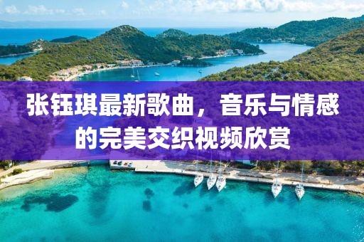 张钰琪最新歌曲，音乐与情感的完美交织视频欣赏