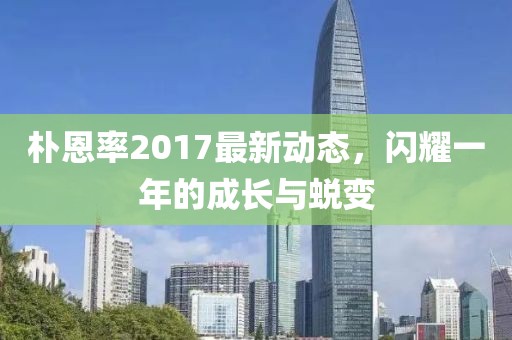 朴恩率2017最新动态，闪耀一年的成长与蜕变