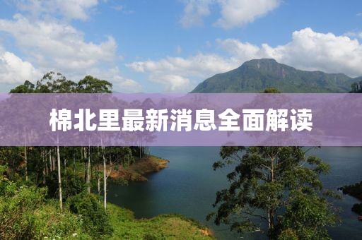 棉北里最新消息全面解读