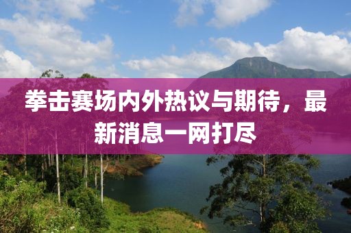 拳击赛场内外热议与期待，最新消息一网打尽