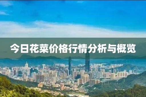 今日花菜价格行情分析与概览