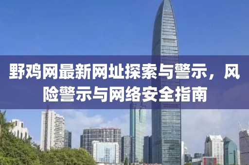 野鸡网最新网址探索与警示，风险警示与网络安全指南