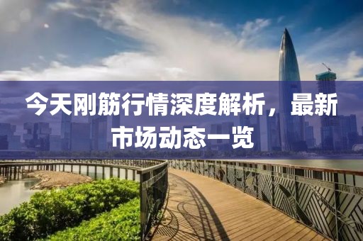 今天刚筋行情深度解析，最新市场动态一览