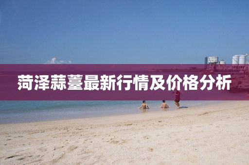 菏泽蒜薹最新行情及价格分析