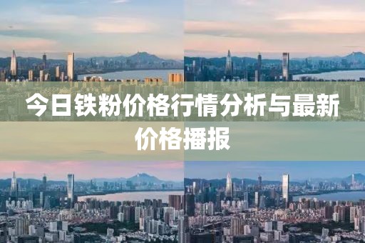 今日铁粉价格行情分析与最新价格播报