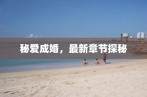 秘爱成婚，最新章节探秘