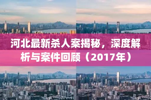 河北最新杀人案揭秘，深度解析与案件回顾（2017年）