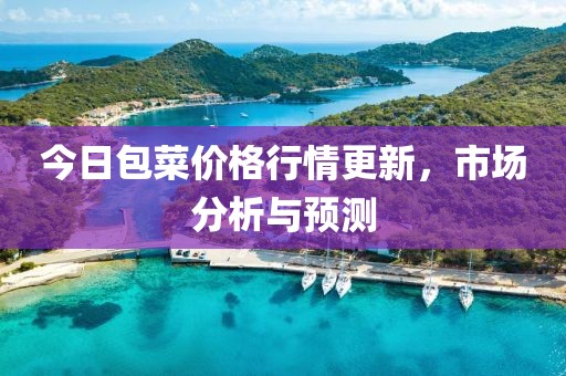 今日包菜价格行情更新，市场分析与预测