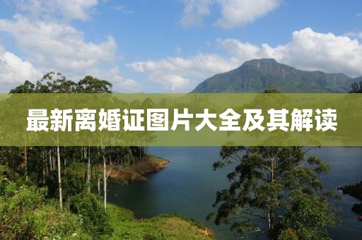 最新离婚证图片大全及其解读