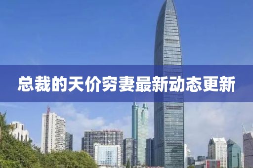 总裁的天价穷妻最新动态更新