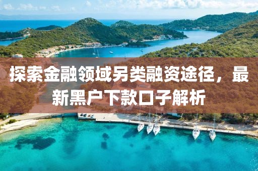 探索金融领域另类融资途径，最新黑户下款口子解析