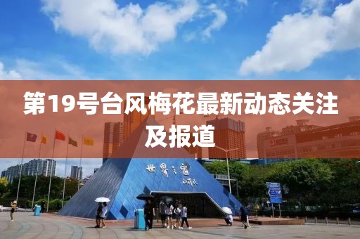 第19号台风梅花最新动态关注及报道