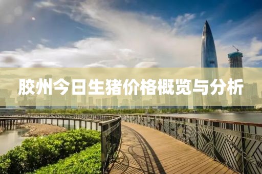 胶州今日生猪价格概览与分析