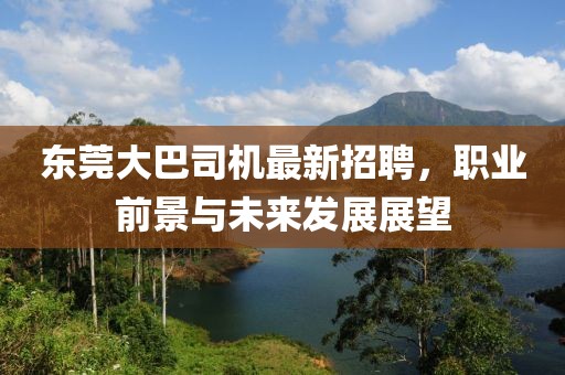 东莞大巴司机最新招聘，职业前景与未来发展展望