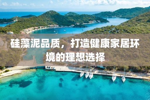 硅藻泥品质，打造健康家居环境的理想选择