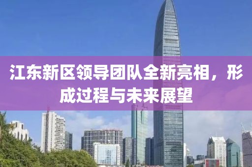 江东新区领导团队全新亮相，形成过程与未来展望