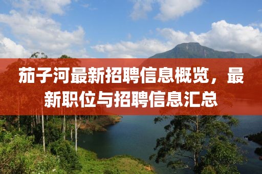 茄子河最新招聘信息概览，最新职位与招聘信息汇总