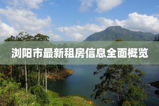 浏阳市最新租房信息全面概览