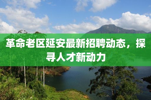 革命老区延安最新招聘动态，探寻人才新动力