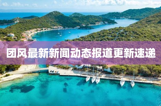 团风最新新闻动态报道更新速递
