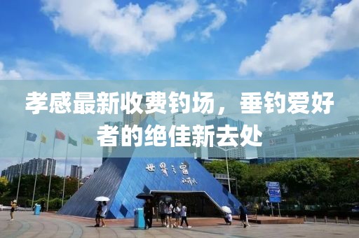 孝感最新收费钓场，垂钓爱好者的绝佳新去处