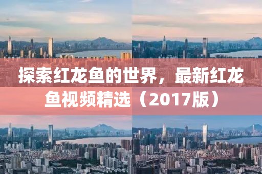 探索红龙鱼的世界，最新红龙鱼视频精选（2017版）