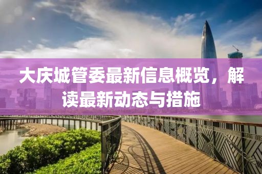 大庆城管委最新信息概览，解读最新动态与措施
