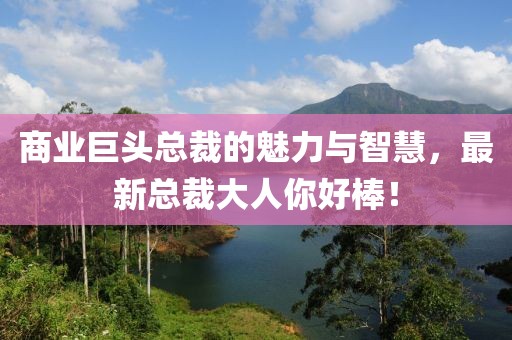 商业巨头总裁的魅力与智慧，最新总裁大人你好棒！