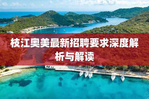 枝江奥美最新招聘要求深度解析与解读