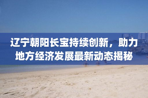 辽宁朝阳长宝持续创新，助力地方经济发展最新动态揭秘