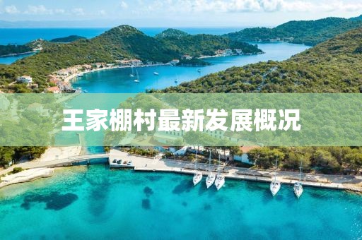 王家棚村最新发展概况