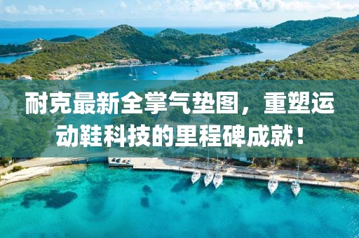 耐克最新全掌气垫图，重塑运动鞋科技的里程碑成就！