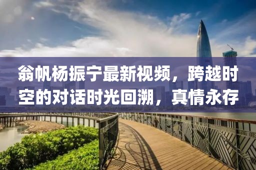 翁帆杨振宁最新视频，跨越时空的对话时光回溯，真情永存