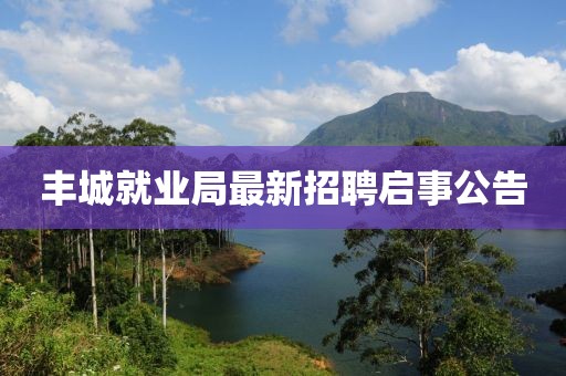 丰城就业局最新招聘启事公告