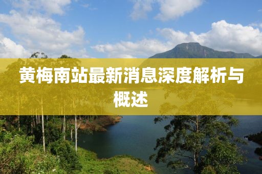 黄梅南站最新消息深度解析与概述