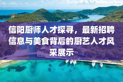 信阳厨师人才探寻，最新招聘信息与美食背后的厨艺人才风采展示