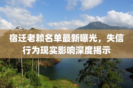 宿迁老赖名单最新曝光，失信行为现实影响深度揭示
